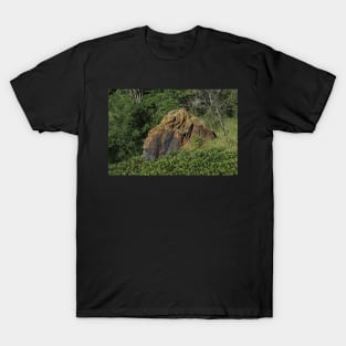 Red Sand Stone rock in a pasture T-Shirt